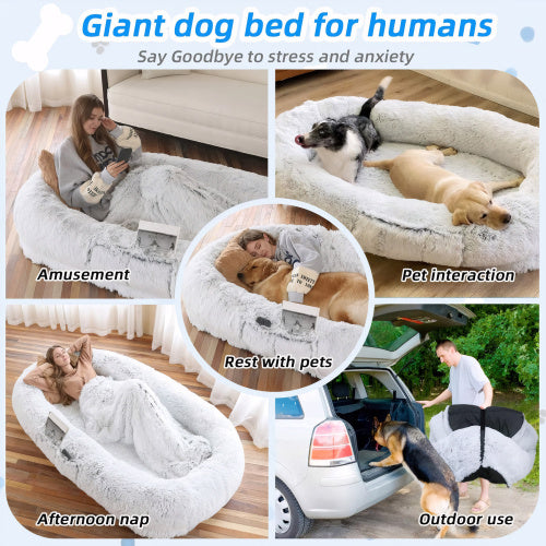 Human-Style Dog Bed