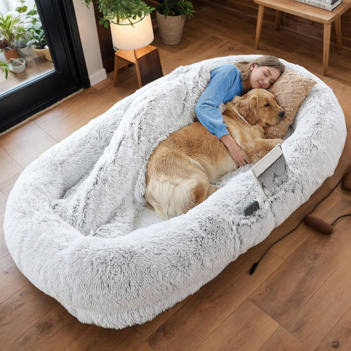 Human-Style Dog Bed