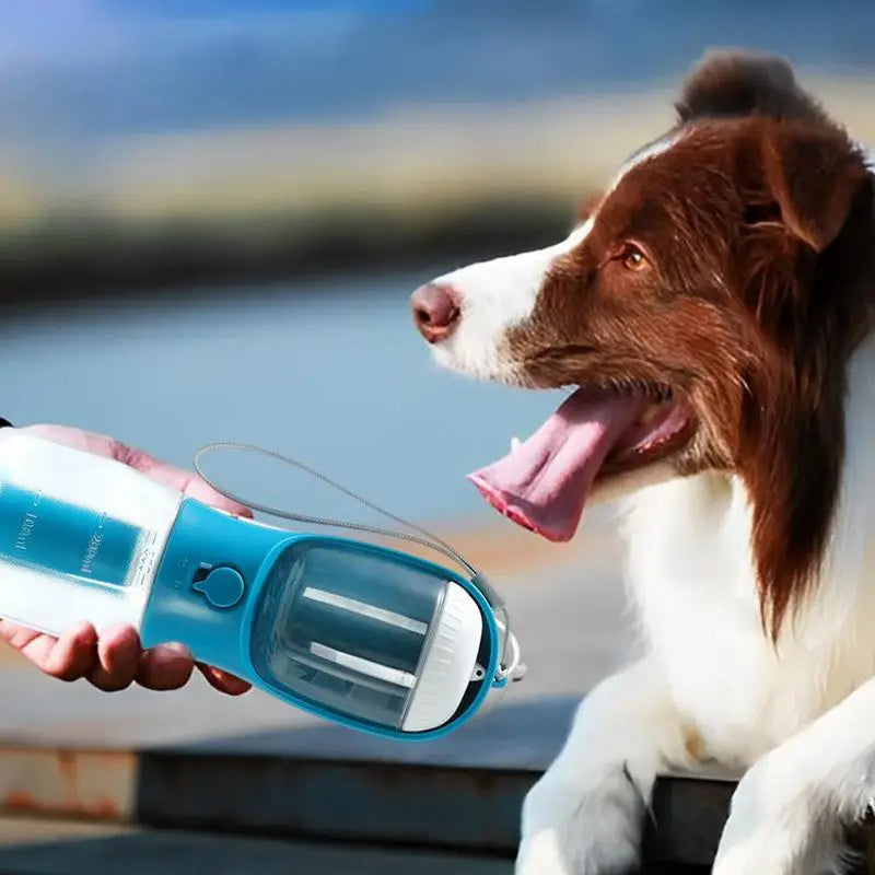 3-in-1 Portable Dog Water & Food Cup