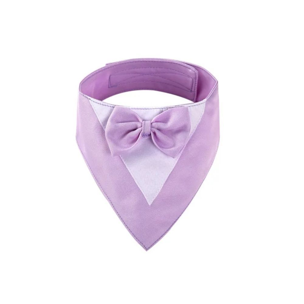 Pet Triangle Bib