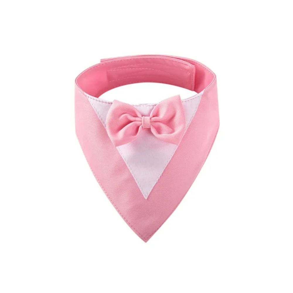 Pet Triangle Bib