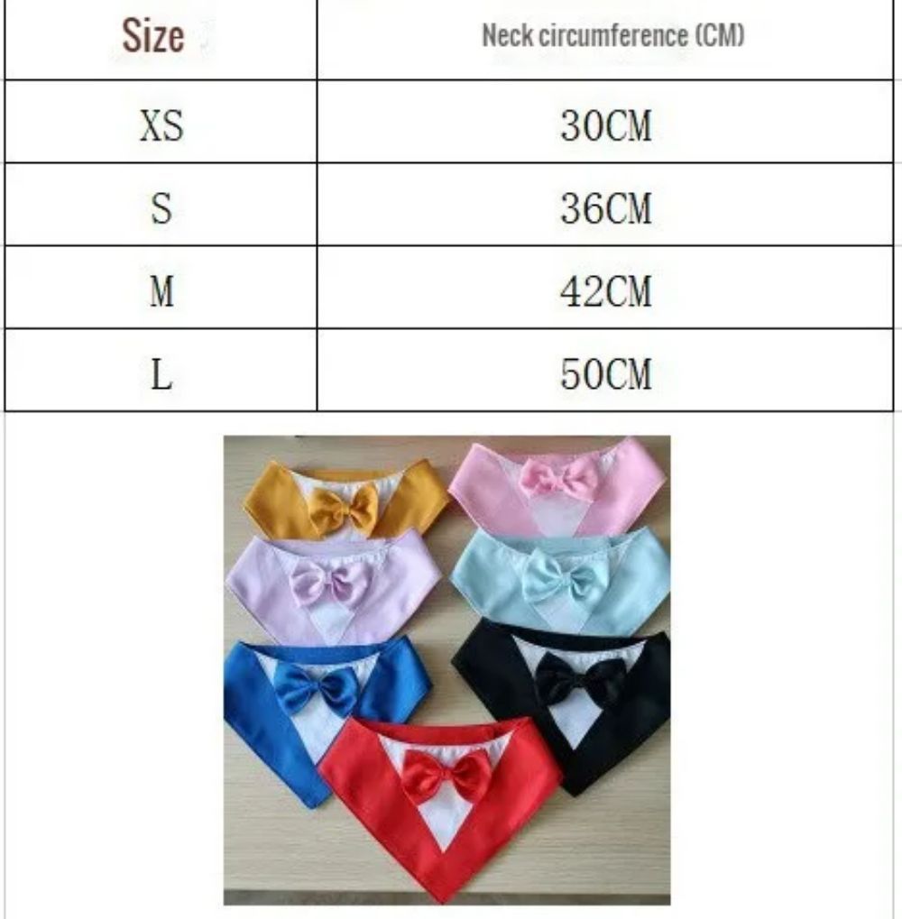 Pet Triangle Bib