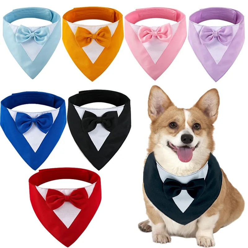 Pet Triangle Bib