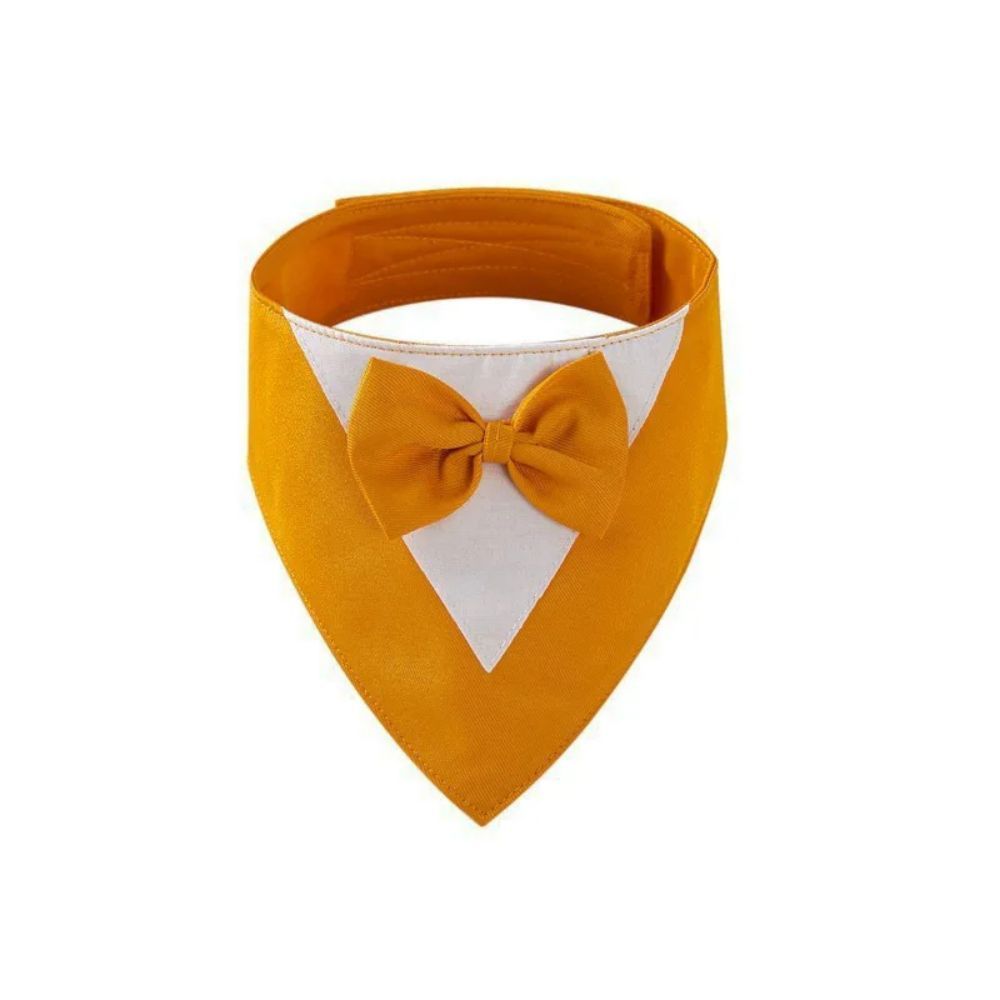 Pet Triangle Bib