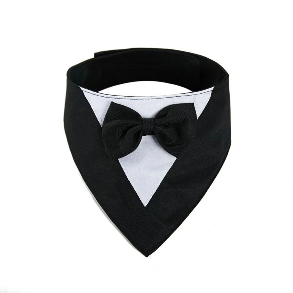Pet Triangle Bib