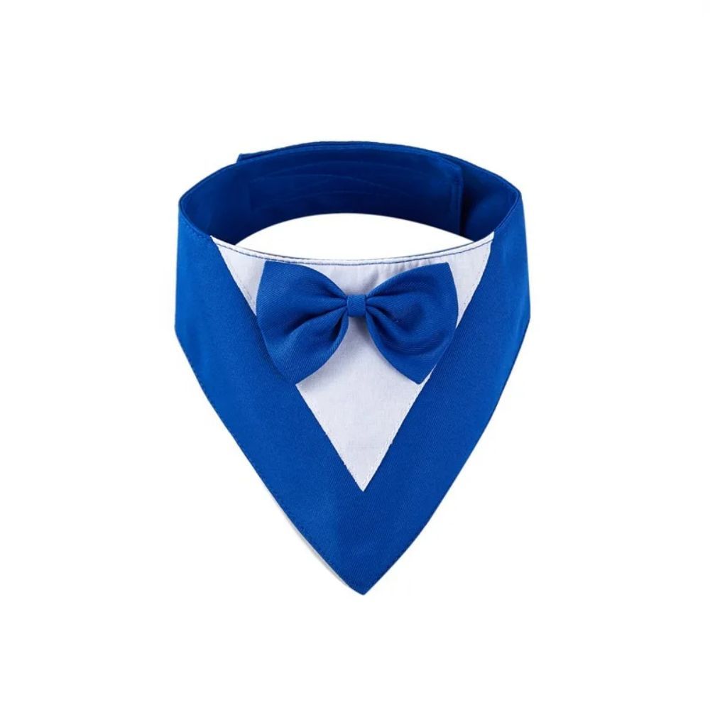 Pet Triangle Bib