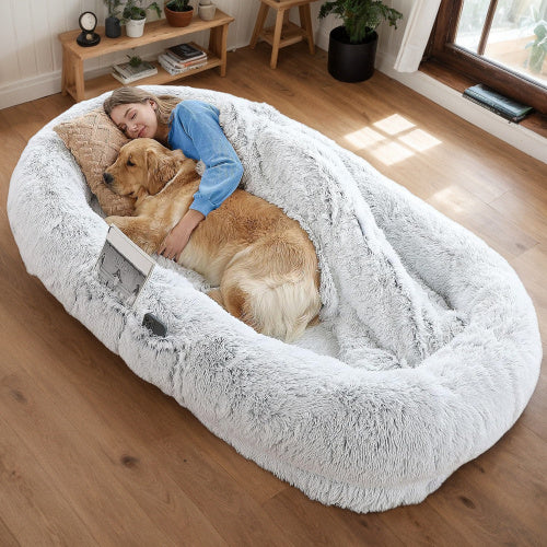 Human-Style Dog Bed