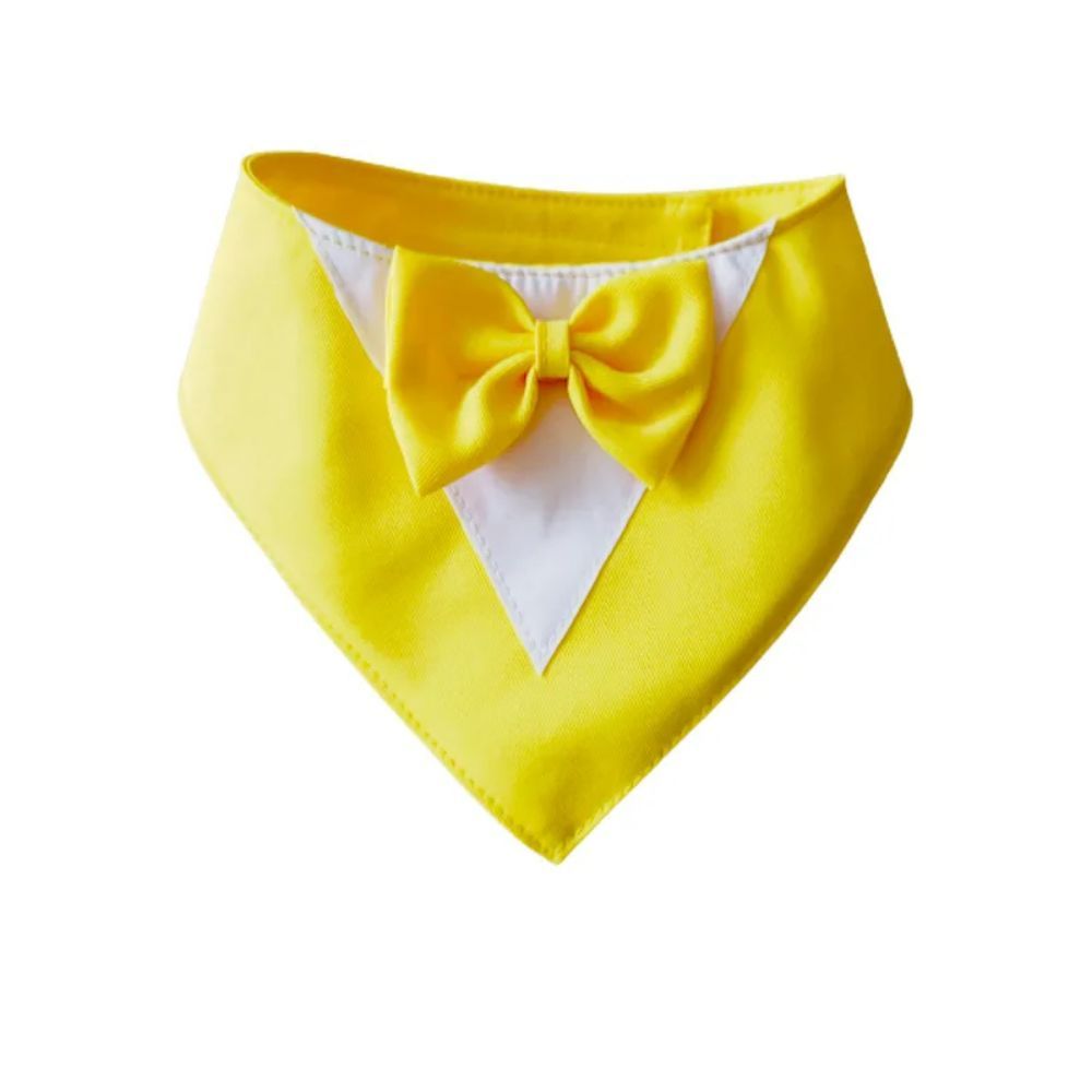 Pet Triangle Bib