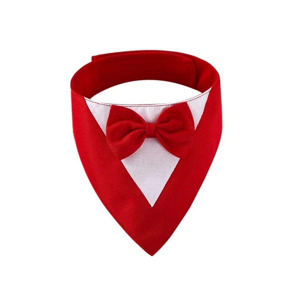 Pet Triangle Bib