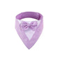 Pet Triangle Bib