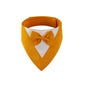 Pet Triangle Bib