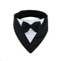 Pet Triangle Bib