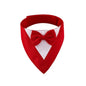 Pet Triangle Bib